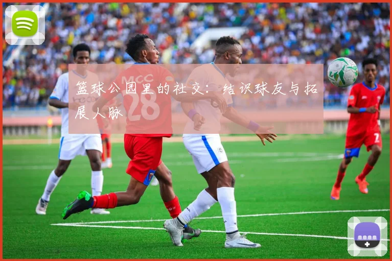 篮球公园里的社交:结识球友与拓展人脉