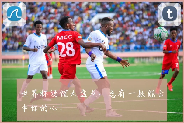 世界杯场馆大盘点,总有一款能击中你的心!