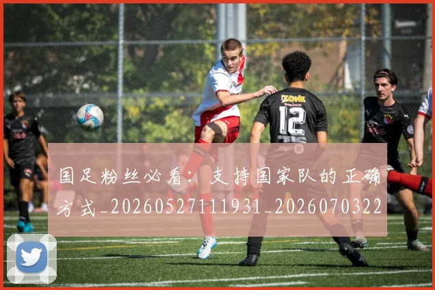 国足粉丝必看：支持国家队的正确方式_20260527111931_20260703224343